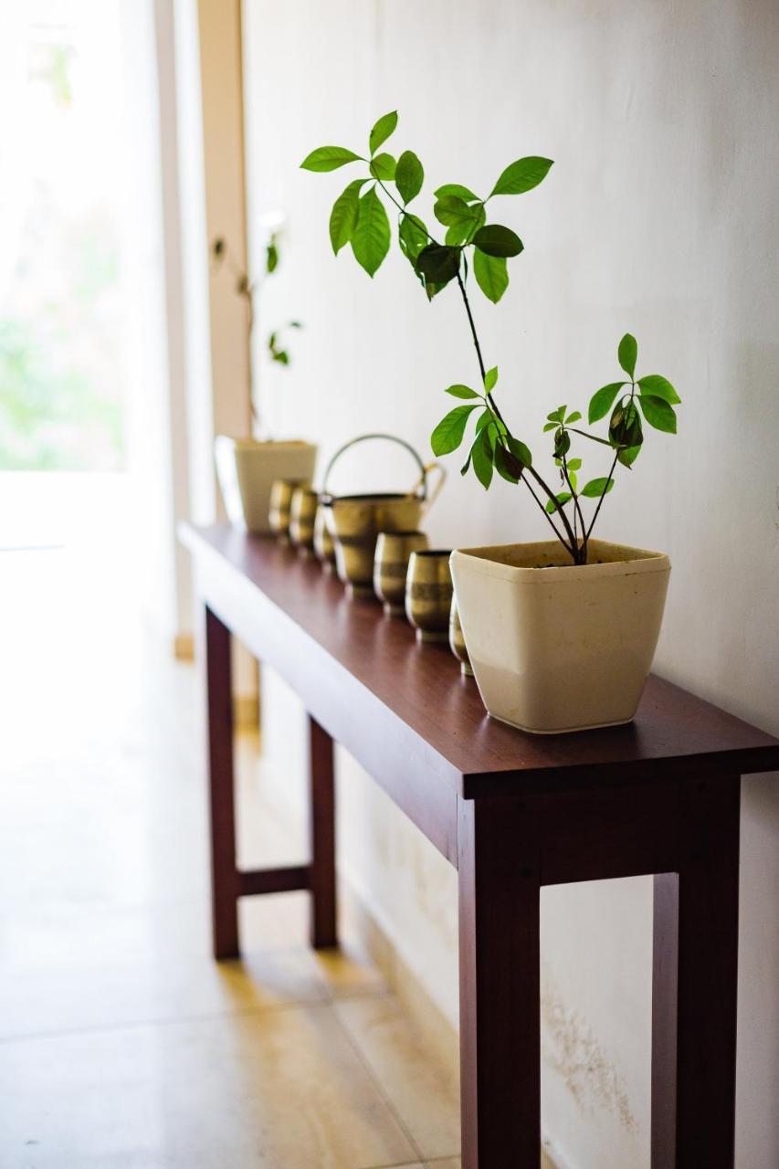 Mekosha Ayurveda Spa Suites Retreat & Resort Attingal Экстерьер фото