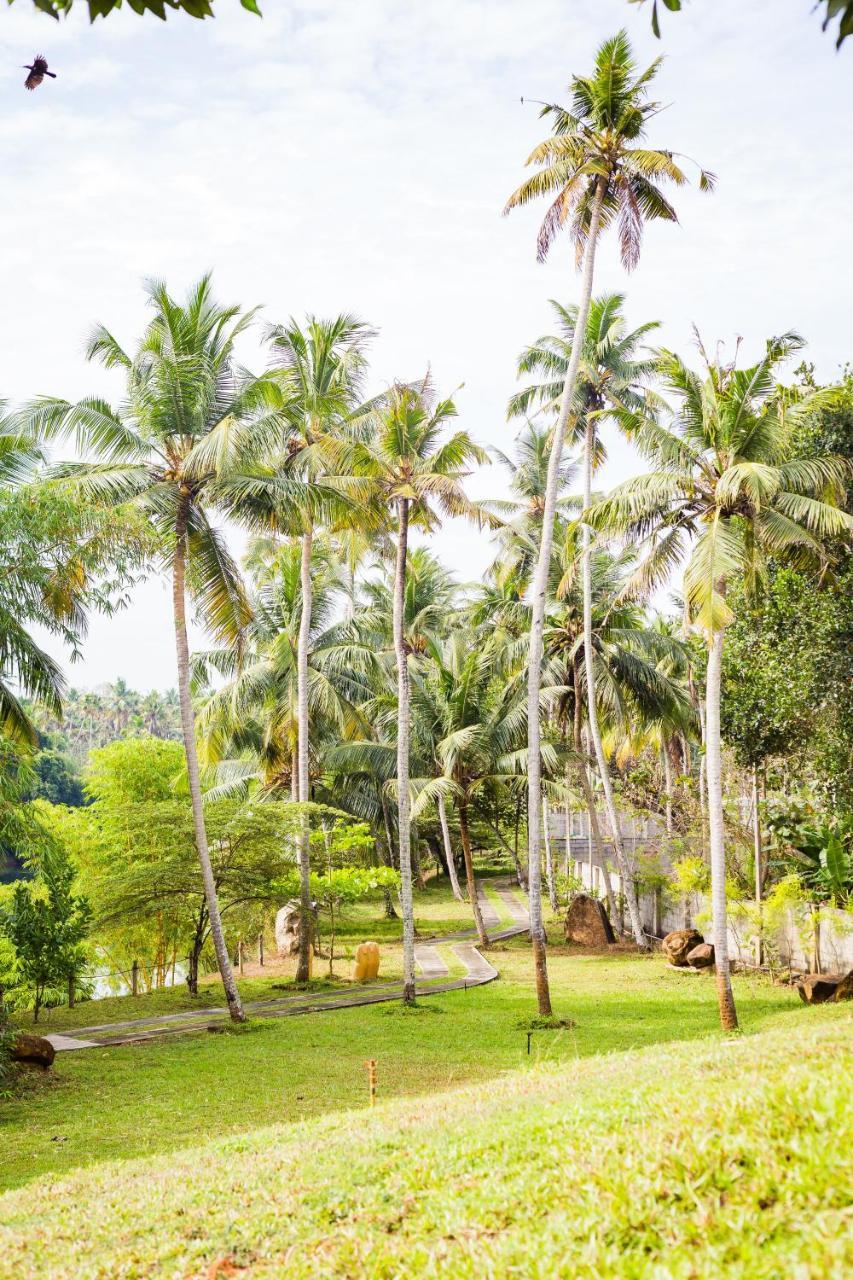 Mekosha Ayurveda Spa Suites Retreat & Resort Attingal Экстерьер фото